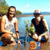 Volunteers tree planting