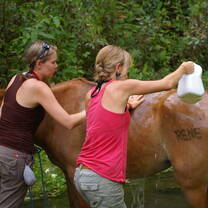 Volunteers working at the Permaculture and Farming Program 
