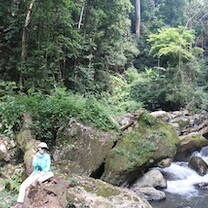 Explore in the tropical forest 