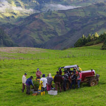 Eco-volunteers gather to unload forage trees.