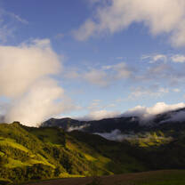 The Tropical Andes reach heights of 13,000 feet in this region.