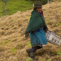 Eco-volunteers will work alongside local ranchers to plant forage trees.