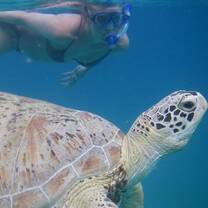 Perhentian Turtle Project