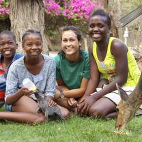 Volunteer with animals and children in South Africa