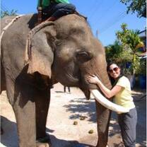 Volunteering with Elephants in Thailand