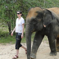 Oceans 2 Earth Thai Wildlife Volunteer Project