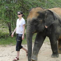 Oceans 2 Earth Thai Wildlife Volunteer Project