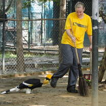 Oceans 2 Earth Thai Wildlife Volunteer Project