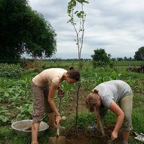 volunteer farming