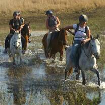 Horse Riding volunteers