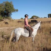 Horse riding and elephant conservation