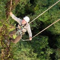 Canopy Access on Operation Wallacea volunteer expedition in Indonesia