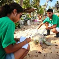 Save marine animals in Brazil