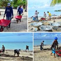 YPDR marine restoration program