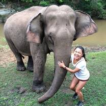 Elephant Trek