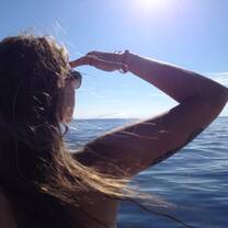 A volunteer searches for dolphins