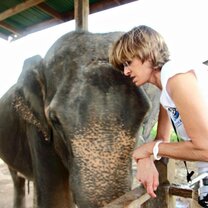 Elephant Secrets