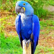 Volunteer in Costa Rica
