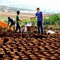 Volunteers in Palestine