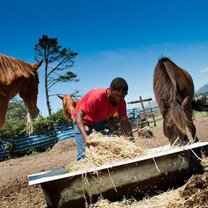 Volunteer  in South Africa 