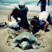 COINED Volunteer in Central America