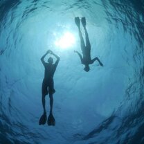 Snorkeling Mozambique Snorkeling Mozambique