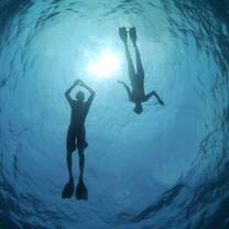 Snorkeling Mozambique