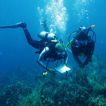 Reef Conservation