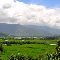 Environment Conservation Program
