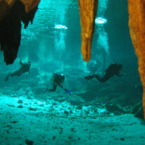 GVI: Marine Conservation Volunteering