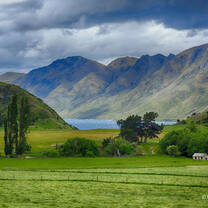 Environmental Conservation in New Zealand with Love Volunteers!