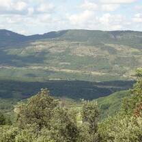 green project-the view around the village