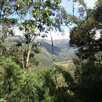 Volunteer in Conservation