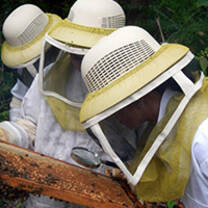 Affordable Volunteer Programs in Conservation and Social Work in Costa Rica