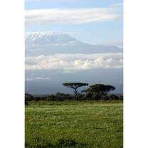 Gap year cultural immersion programs in Africa