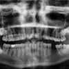Dentistry CLP Header