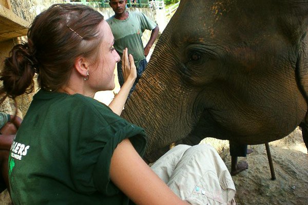 Sarah volunteering with elephants in Sri Lanka