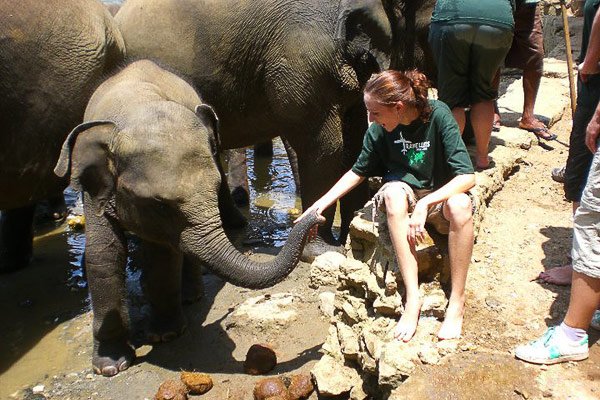 Sarah with a baby elephant