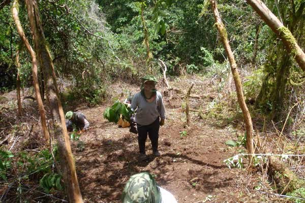 Volunteer outdoors in the Galapagos Islands with UBELONG