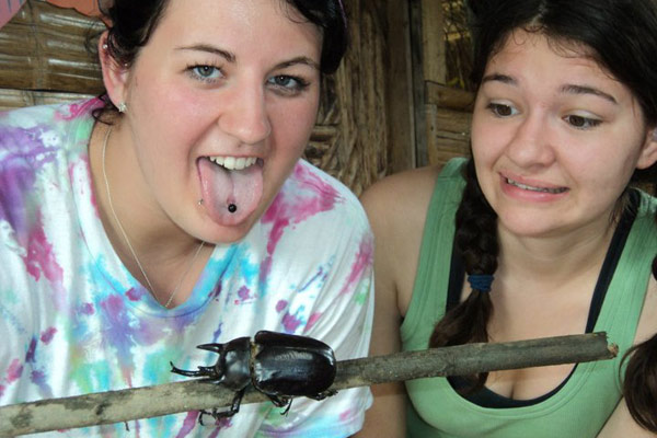 Giant bug in Ecuador