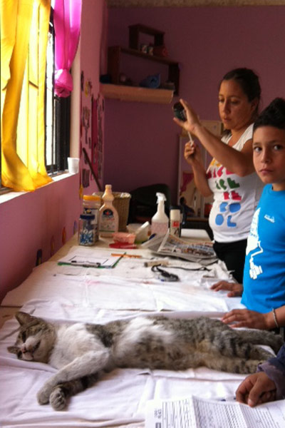 Volunteer with animals in Mexico