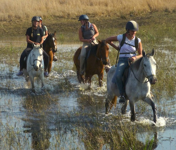Horse Riding and Rhino Conservation | Go Overseas Horse Riding and Rhino Conservation | Go Overseas